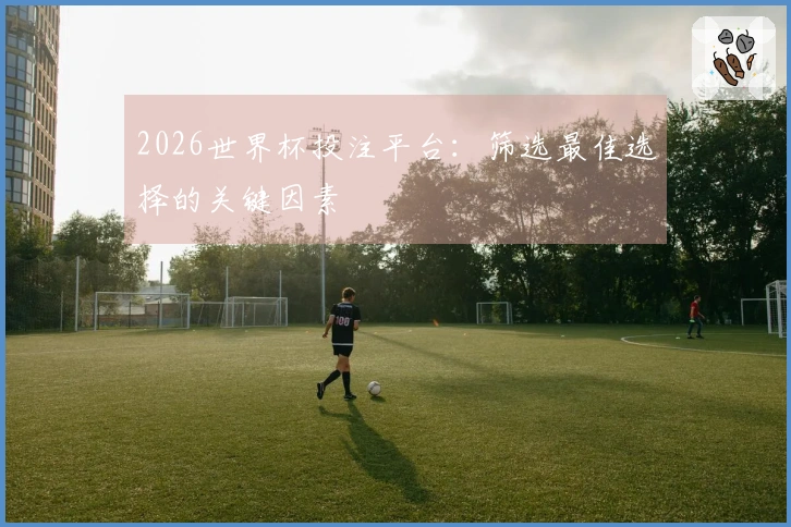 2026世界杯投注平台：筛选最佳选择的关键因素